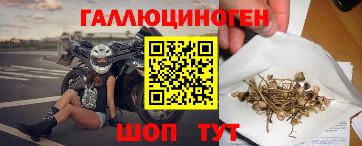 Галлюциногенные грибы мицелий Тосно